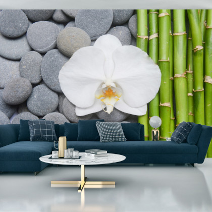 Fototapeta Bambusy Z Kamieniami I Orchideą