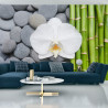 Fototapeta Bambusy Z Kamieniami I Orchideą