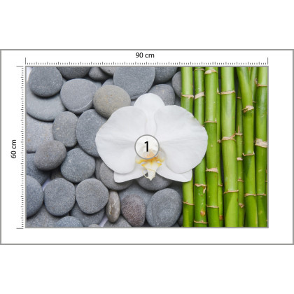 Fototapeta Bambusy Z Kamieniami I Orchideą