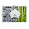 Fototapeta Bambusy Z Kamieniami I Orchideą