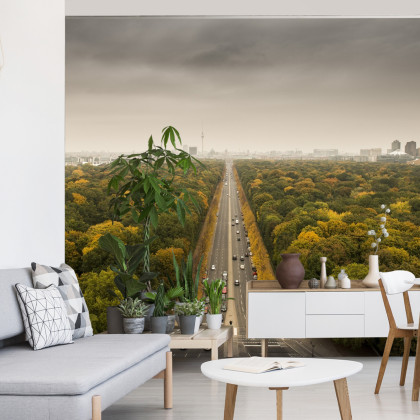 Fototapeta Berlin Z Oddali