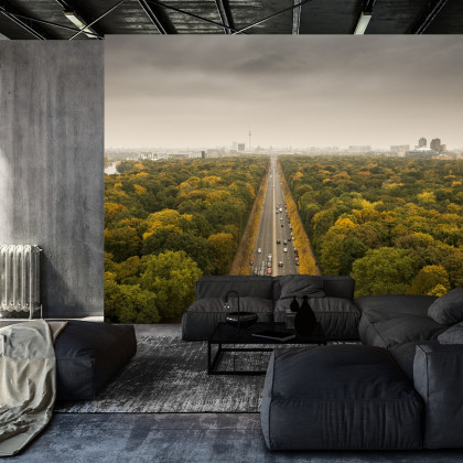 Fototapeta Berlin Z Oddali