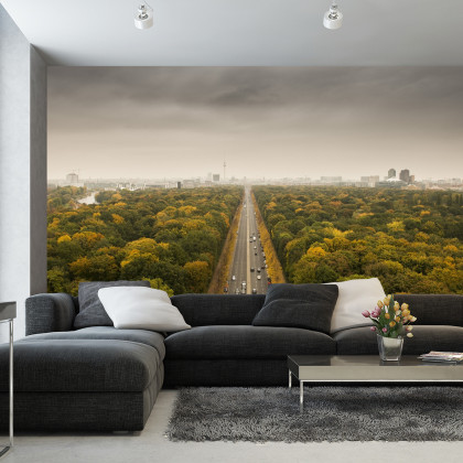 Fototapeta Berlin Z Oddali