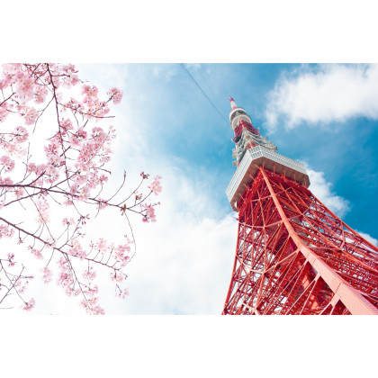 Fototapeta Tokyo Tower Na Tle Nieba