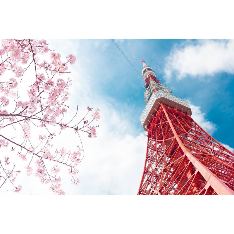 Fototapeta Tokyo Tower Na Tle Nieba