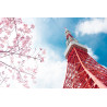 Fototapeta Tokyo Tower Na Tle Nieba