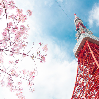 Fototapeta Tokyo Tower Na Tle Nieba