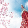Fototapeta Tokyo Tower Na Tle Nieba