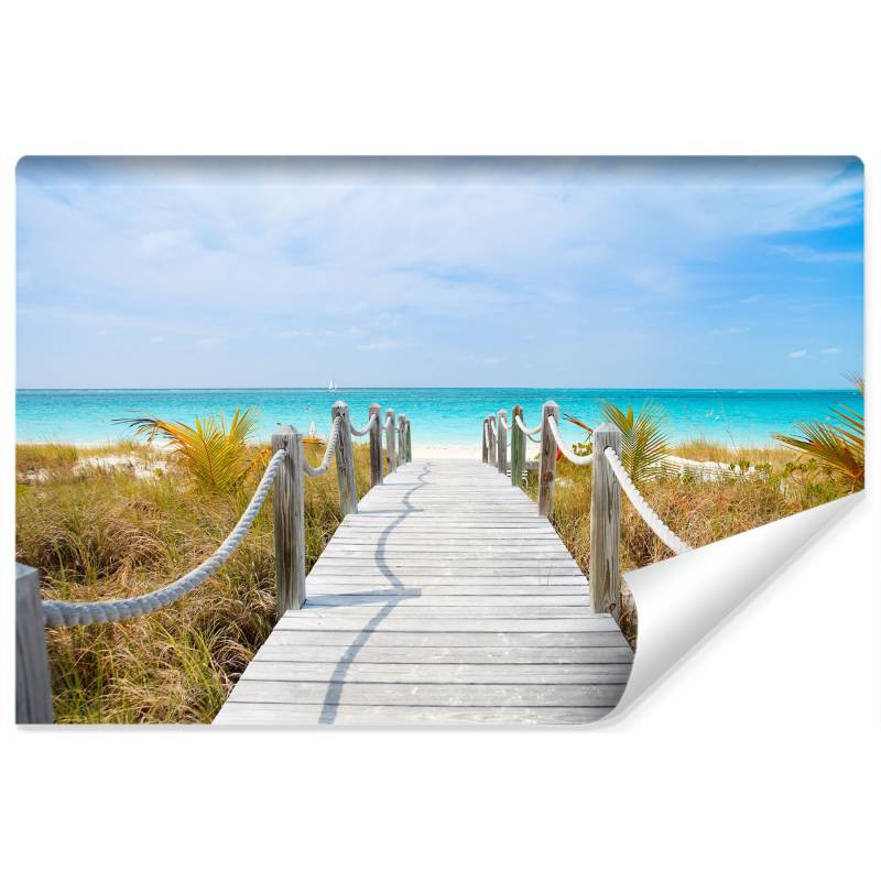 Fototapeta Ścieżka Na Karaibskiej Plaży