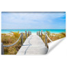 Fototapeta Ścieżka Na Karaibskiej Plaży