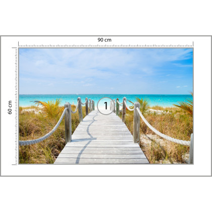 Fototapeta Ścieżka Na Karaibskiej Plaży