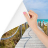 Fototapeta Ścieżka Na Karaibskiej Plaży