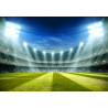 Fototapeta Stadion Mistrzów