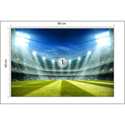 Fototapeta Stadion Mistrzów