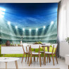 Fototapeta Stadion Mistrzów