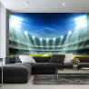 Fototapeta Stadion Mistrzów