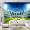 Fototapeta Stadion Mistrzów