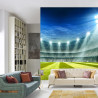 Fototapeta Stadion Mistrzów