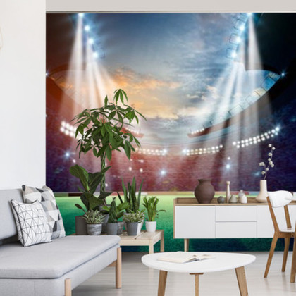 Fototapeta Stadion Piłkarskich Gwiazd