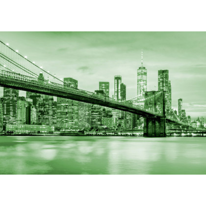 Fototapeta Brooklyn Bridge Nyc W Kolorze Zielonym