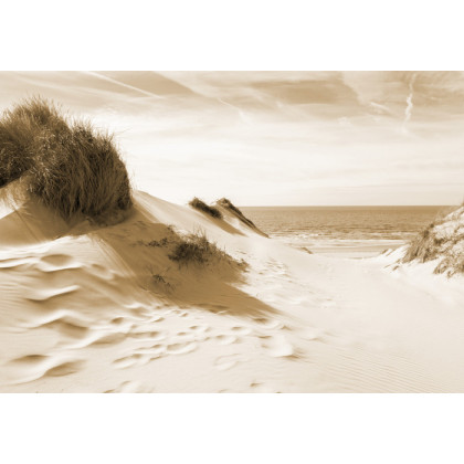 Fototapeta Droga Do Morza Sepia
