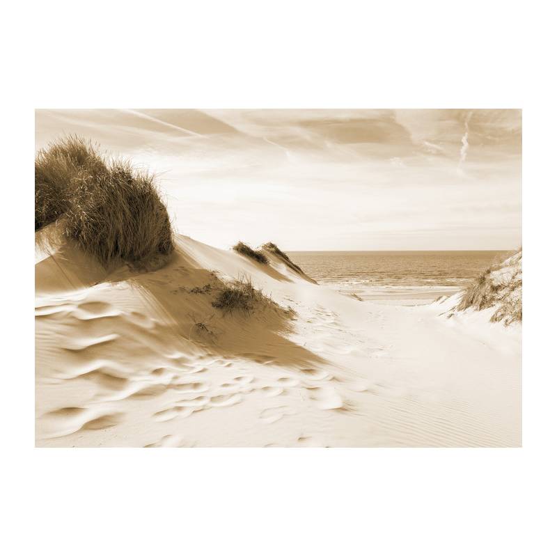 Fototapeta Droga Do Morza Sepia