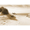 Fototapeta Droga Do Morza Sepia