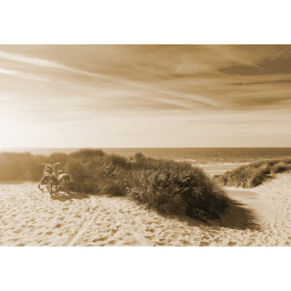 Fototapeta Ostatnie Letnie Słońce Sepia