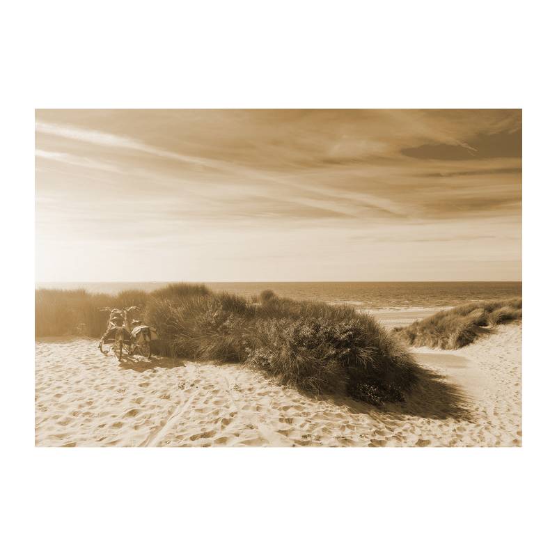 Fototapeta Ostatnie Letnie Słońce Sepia