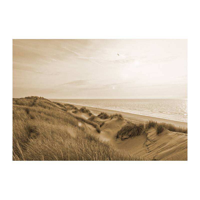 Fototapeta Sepia Wydmy Wschód Słońca