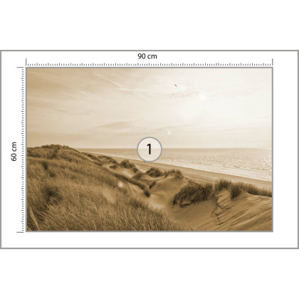 Fototapeta Sepia Wydmy Wschód Słońca