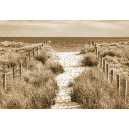 Fototapeta Zejdźmy Na Plażę Sepia