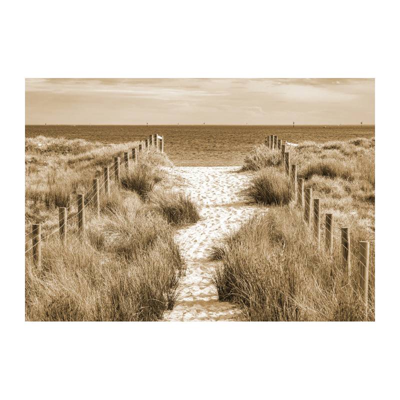 Fototapeta Zejdźmy Na Plażę Sepia