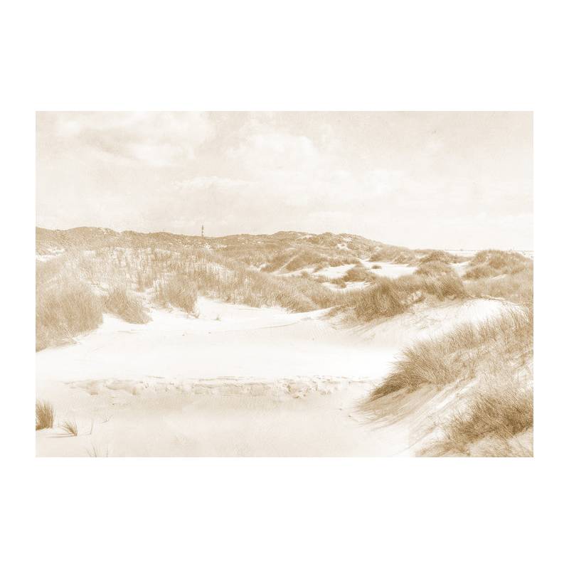 Fototapeta Dune Paradise Faded Vintage W Sepii