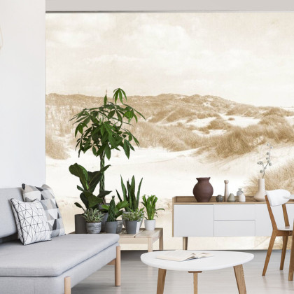 Fototapeta Dune Paradise Faded Vintage W Sepii