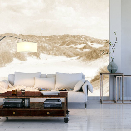 Fototapeta Dune Paradise Faded Vintage W Sepii