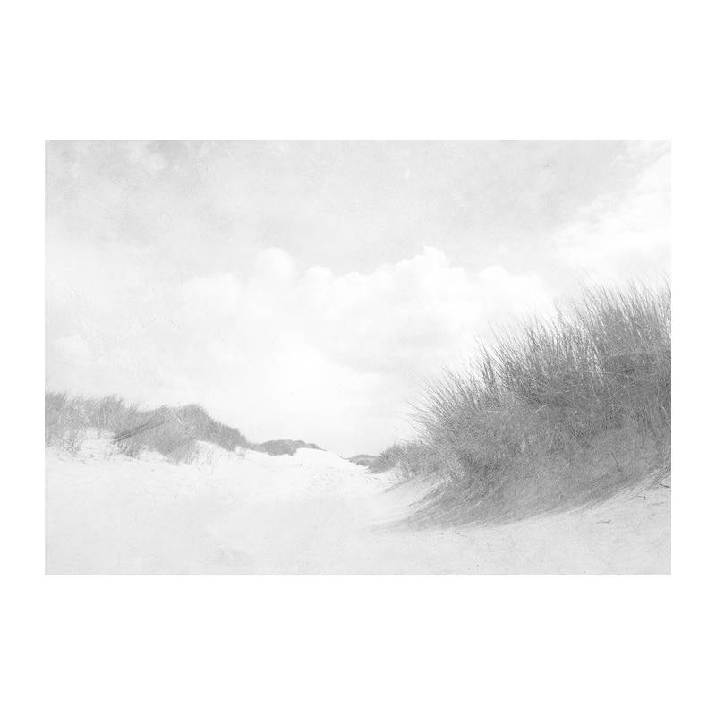 Fototapeta Sandy Days Faded Vintage W Czerni I Bieli