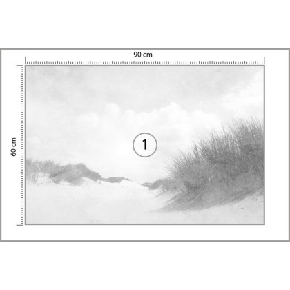 Fototapeta Sandy Days Faded Vintage W Czerni I Bieli
