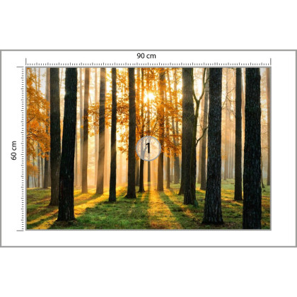 Fototapeta Lasowy Wschód Słońca