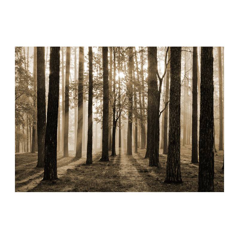 Fototapeta Wschód Słońca W Sepii