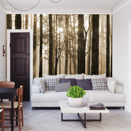 Fototapeta Wschód Słońca W Sepii