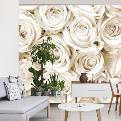Fototapeta Sepiowy Bukiet Róż