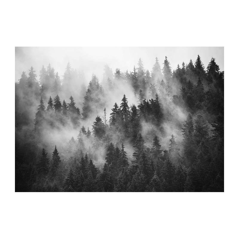 Fototapeta Las We Mgle Czarno-Biały