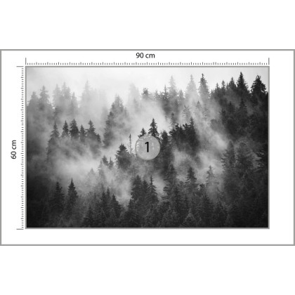 Fototapeta Las We Mgle Czarno-Biały