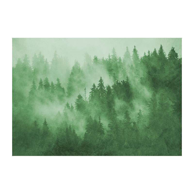 Fototapeta Las We Mgle W Kolorze Zielonym