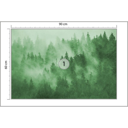 Fototapeta Las We Mgle W Kolorze Zielonym