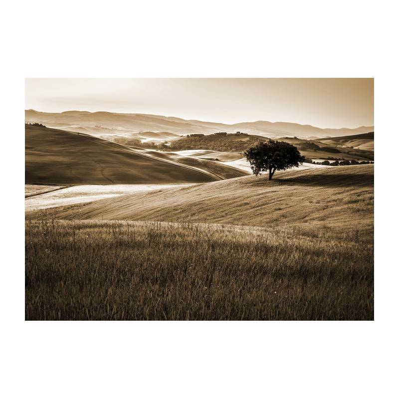 Fototapeta Rolling Hills W Sepii