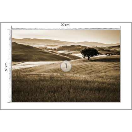 Fototapeta Rolling Hills W Sepii