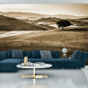 Fototapeta Rolling Hills W Sepii