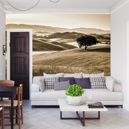 Fototapeta Rolling Hills W Sepii